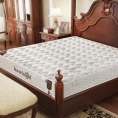 Sweetnight床垫 席梦思床垫 乳胶床垫 棕垫 1.8*2米(乳胶+独立弹簧+椰棕床垫)