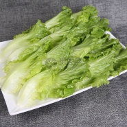 生菜
