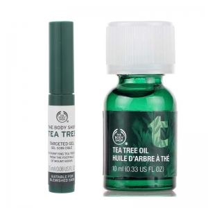 仅限一天错过再无